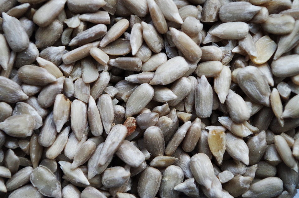 Slunečnice loupaná 450g