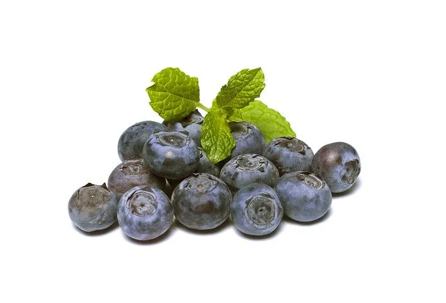 Borůvky kanadské vanička 125g