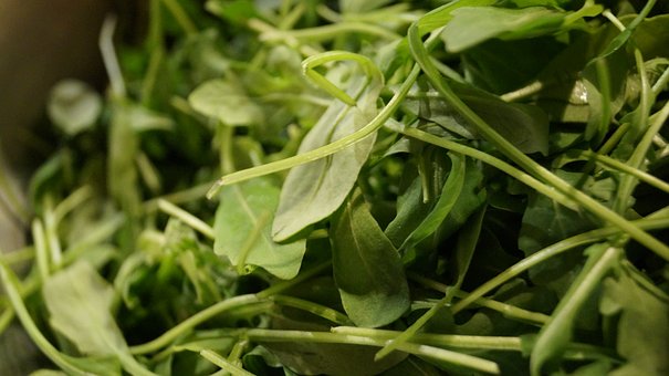 Rukola balená 125g