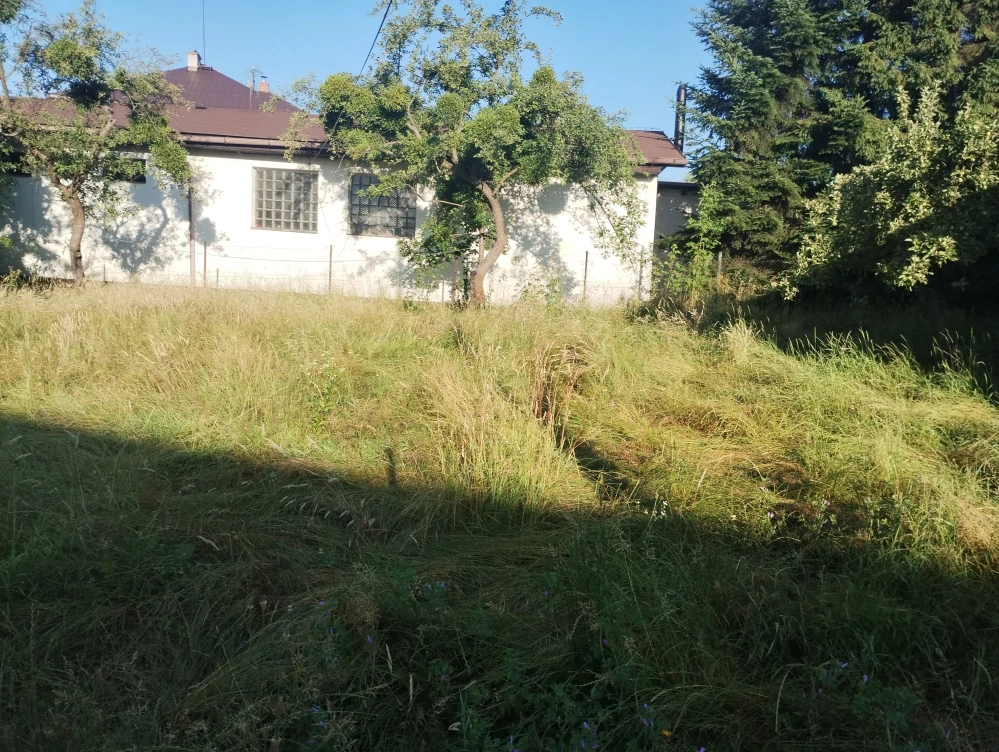 Vysekání zanedbaných zahrad a ploch 1 m2