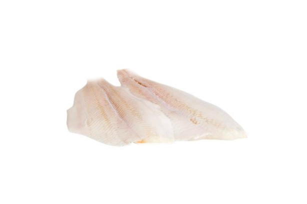 Halibut gronský filet chlazený cca 550g