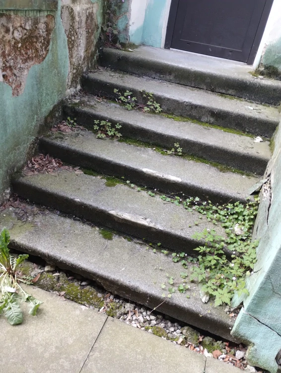 Čištění ploch od trávy , čistění dvorů 1 m2