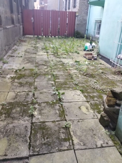 Čištění ploch od trávy , čistění dvorů 1 m2